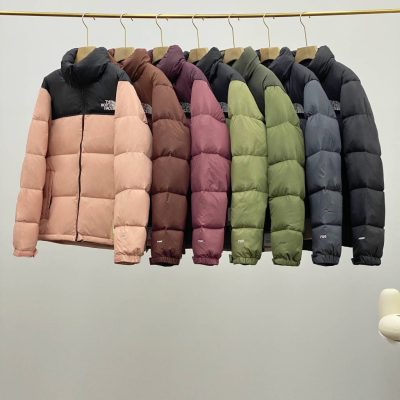 Premium Quality The North Face Down Jackets White Retro Style