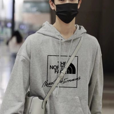 Premium The North Face Sweatshirts Gray Fleece Logo Collection