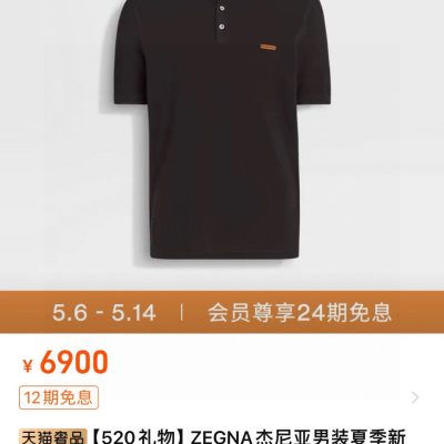 Premium Zegna Short-Sleeved T-Shirts Black Cotton Casual Luxury