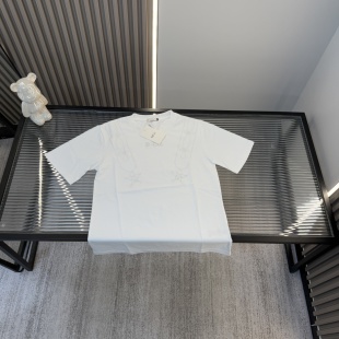 Luxury Dior Short Sleeves Embroidered Luxury