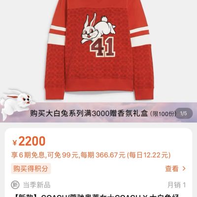 Luxury Coach Hoodie White Classic Collection
