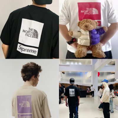 Premium The North Face Short Sleeves White Print Collection