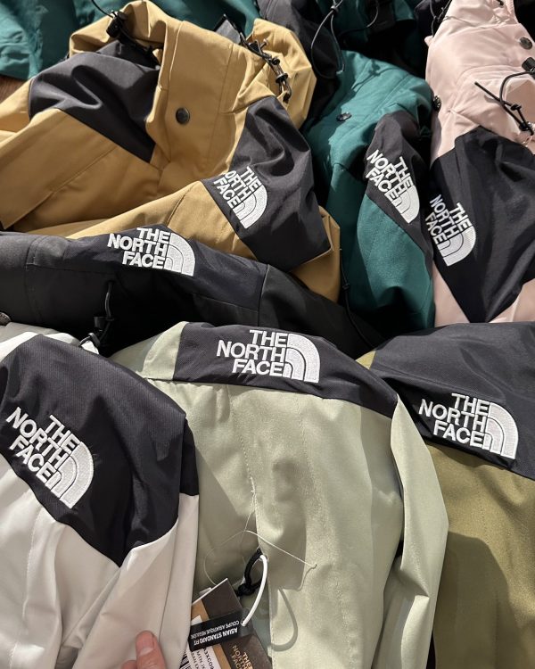 Premium The North Face Jackets Orange Classic Collection