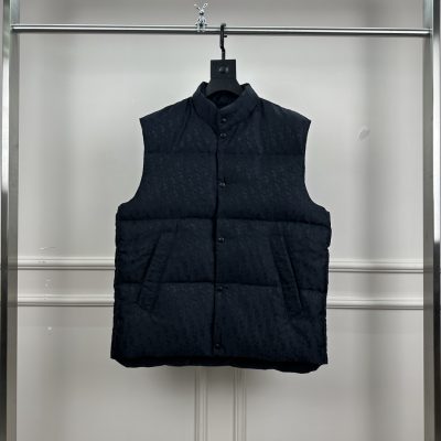 Premium Dior Down Jackets Collection