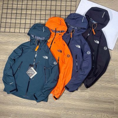 Luxury The North Face Down Jackets Black Oversized Collection