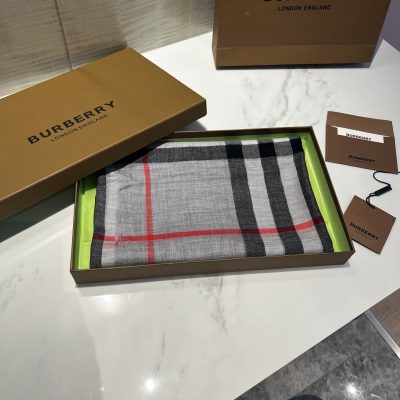 Premium Quality Burberry Scarf Gray Silk Classic Style