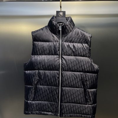 Premium Dior Down Jackets Gold Leather Print Luxury