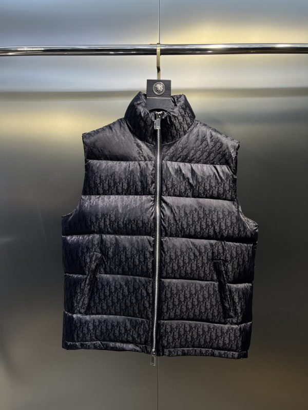 Premium Dior Down Jackets Gold Leather Print Luxury